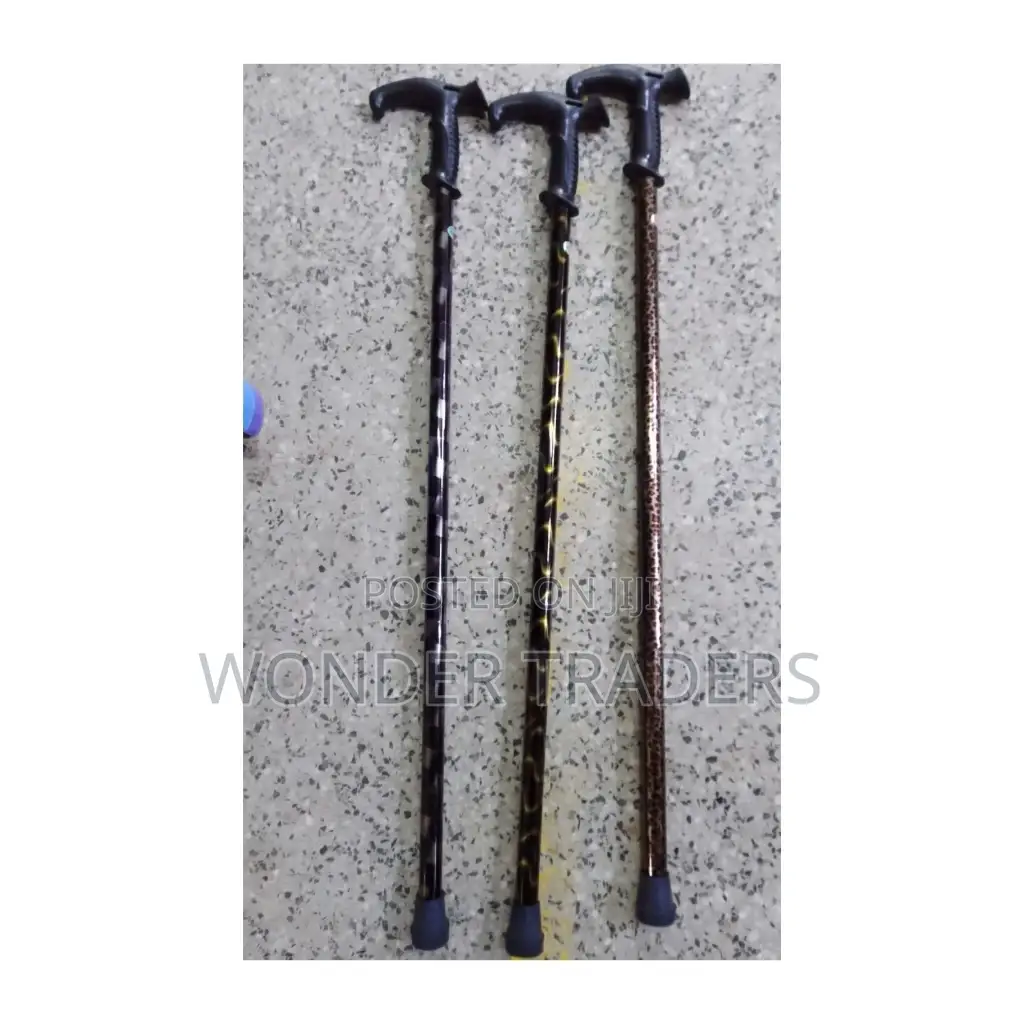 Walking Stick Walking Stick