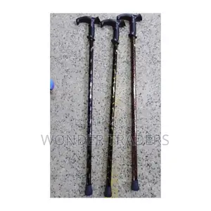 Walking Stick Walking Stick