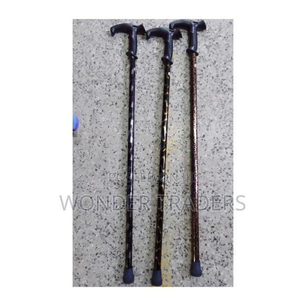 Walking Stick Walking Stick - thumbnail 2