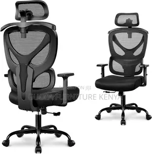 Ergonomic Desk Chair Comfy Computer Chair
