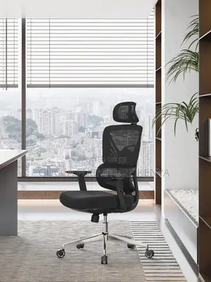 Orthopedic Office Chair