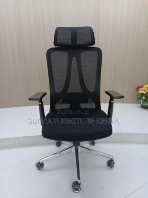 Office Chair, Ergonomic Orthopedic Executive Seat
