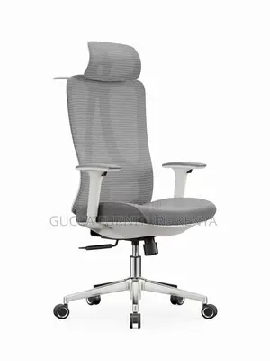 Orthopedic Executive Office Seat, Ergonomic Desk Chair