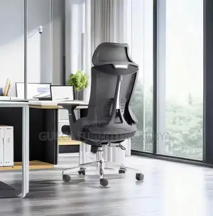 Orthopedic Office Chair With Lumbar Support and Headrest