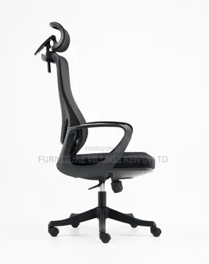 High Back Ergonomic Mesh Office Chair