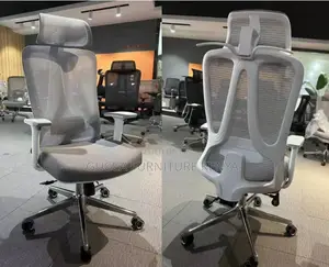 Orthopedic High Back Quality Mesh Office Chair