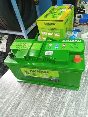 Din95 Agm Amaron Battery
