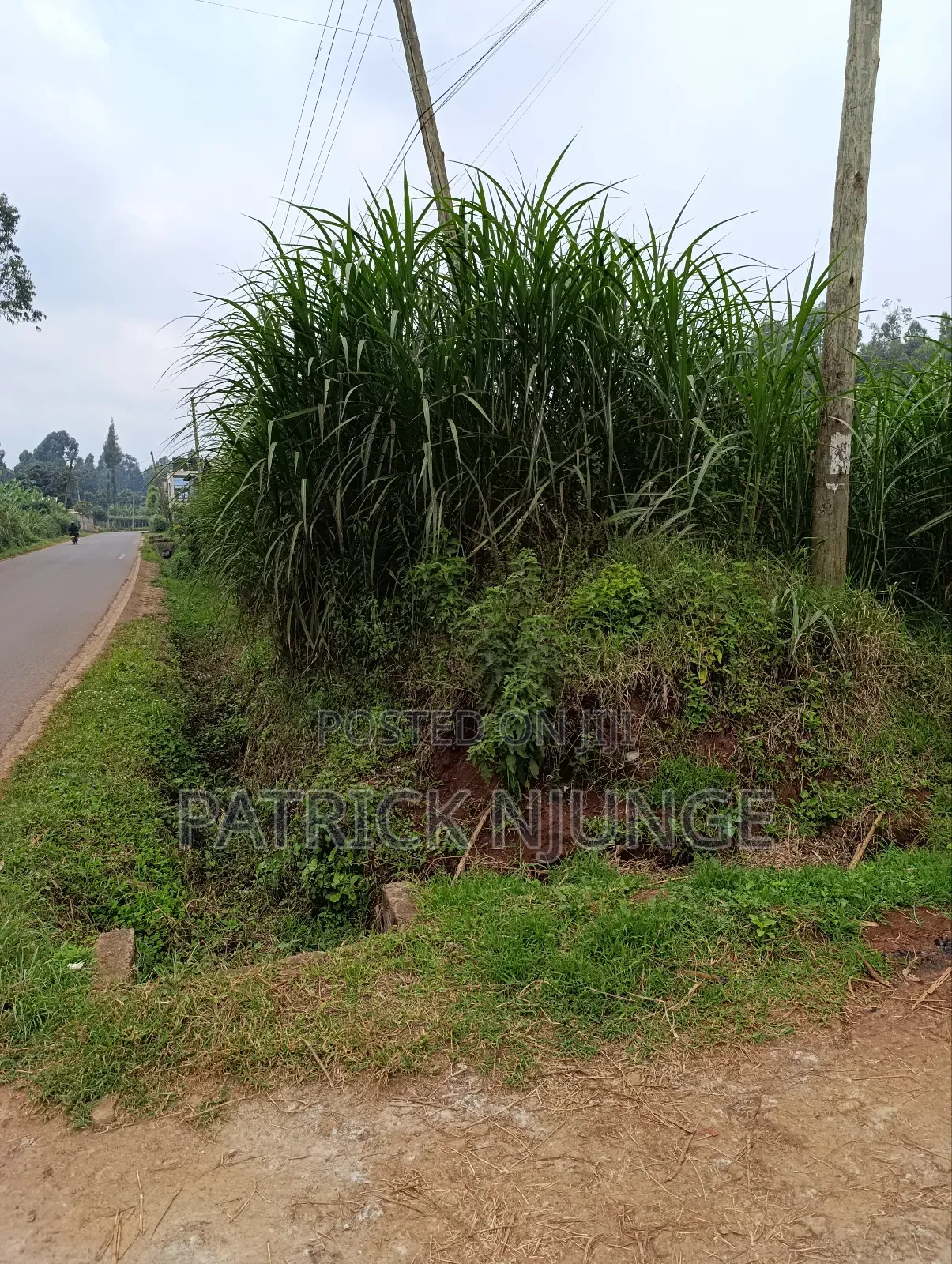 50 by 100 Plot for Sale