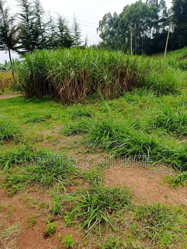 50 by 100 Plot for Sale - thumbnail 3