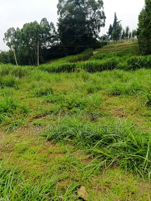 50 by 100 Plot for Sale