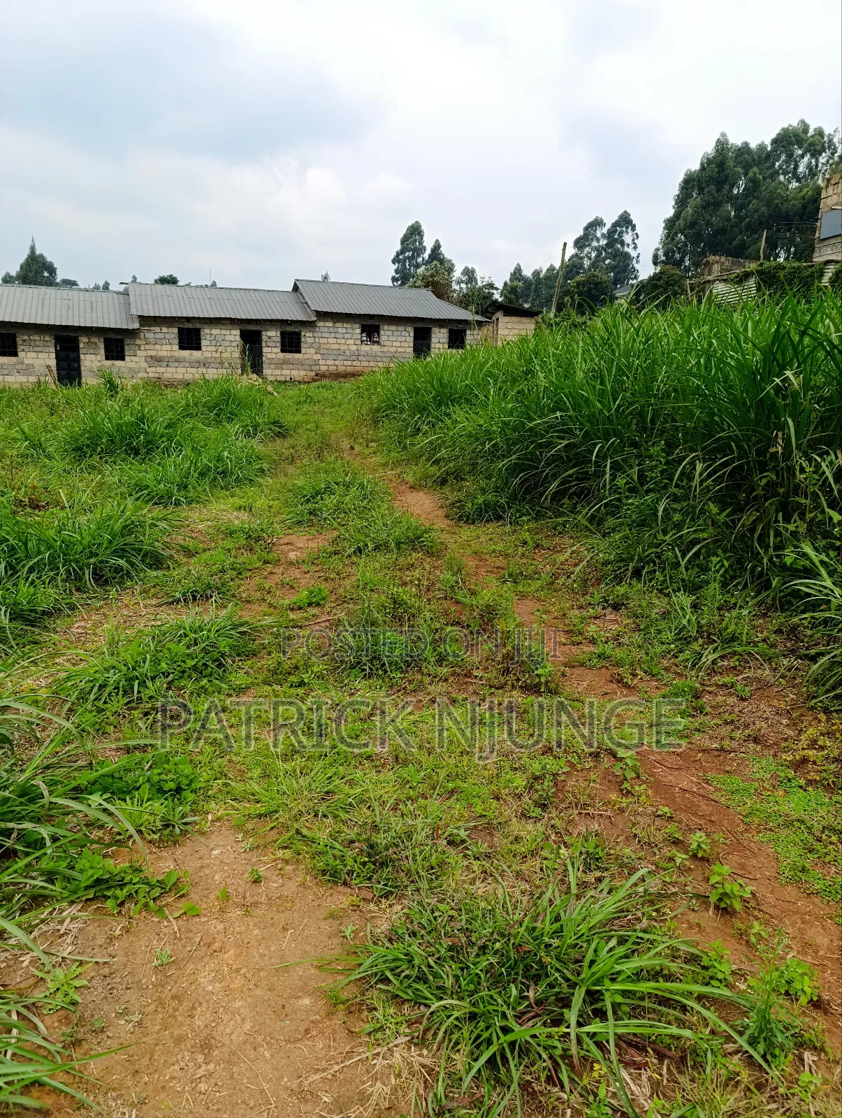 50 by 100 Plot for Sale