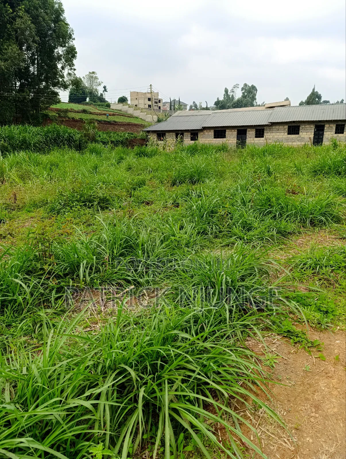 50 by 100 Plot for Sale