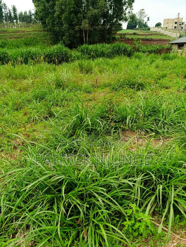 50 by 100 Plot for Sale - thumbnail 7