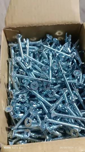 Self Drilling Screws (3.9x32mm)