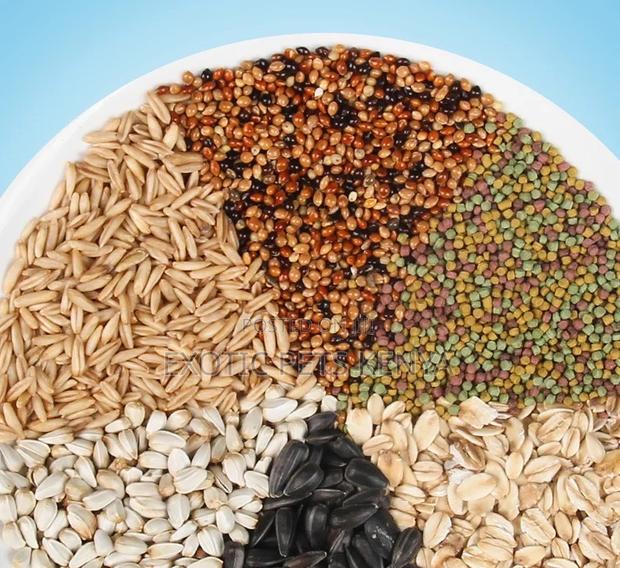 Parrot Feed - thumbnail 3