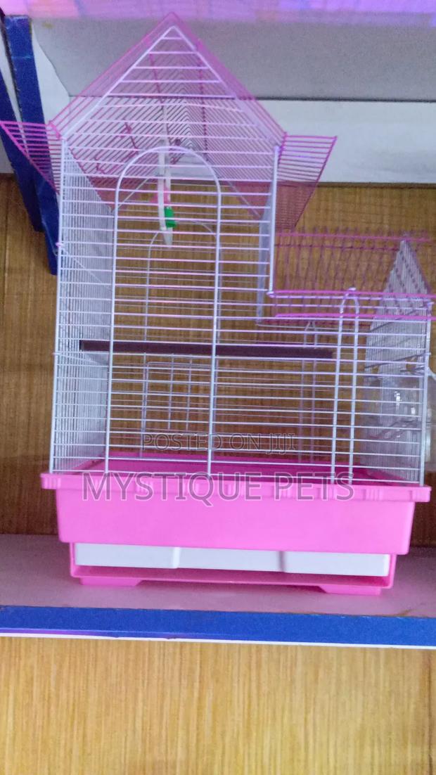 Cages for Birds - main view