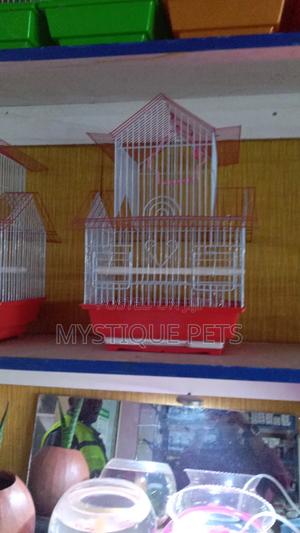 Birds Cages - thumbnail 2