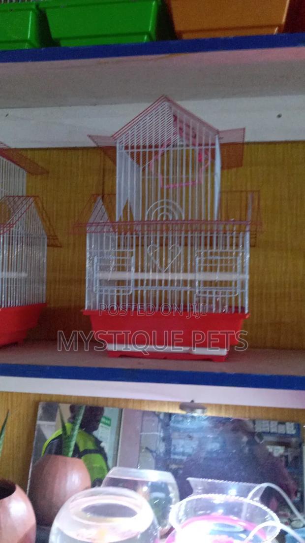 Birds Cages - main view