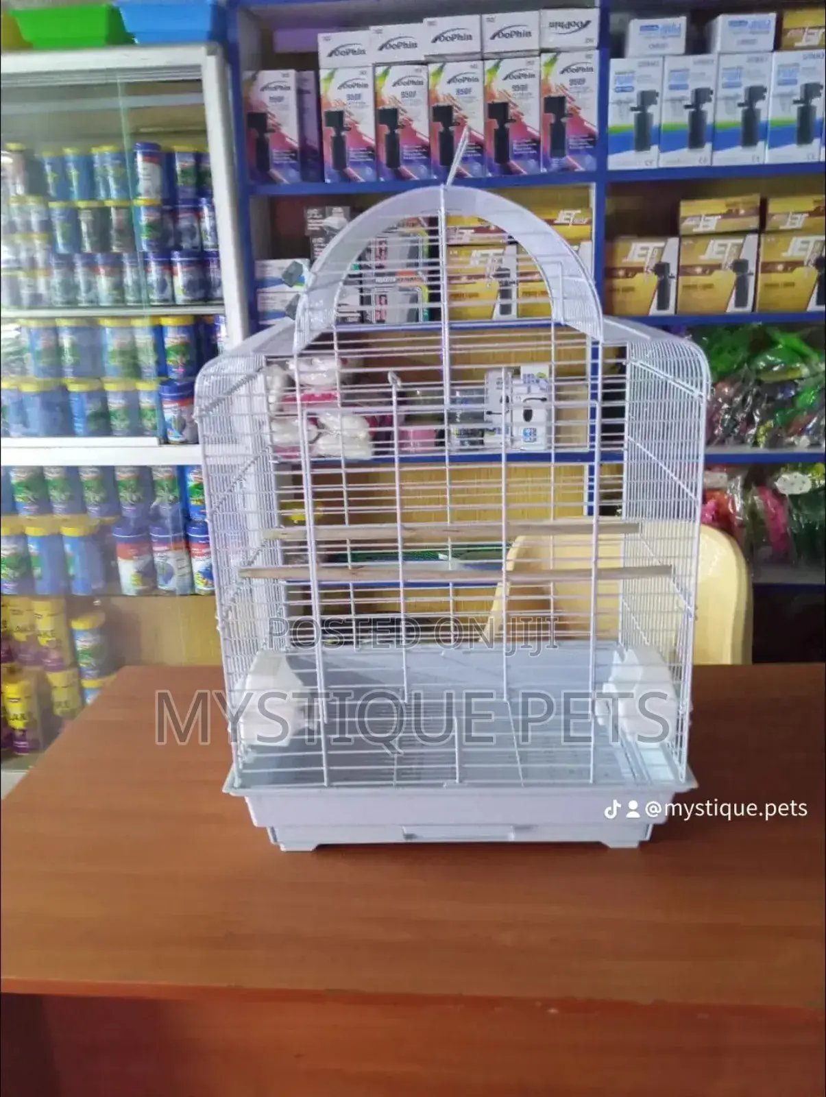 White Big Cage