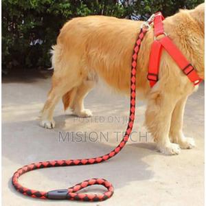 *Dog Leash / Harness With Collar* - thumbnail 2