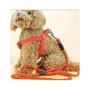 Dog Leash With Harness - thumbnail 2
