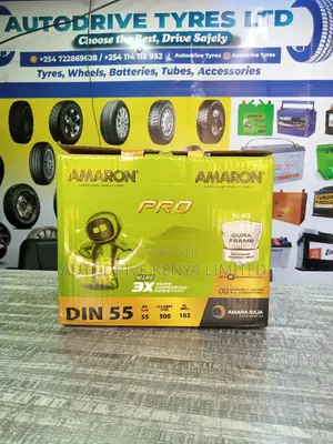 DIN55 Amaron Battery