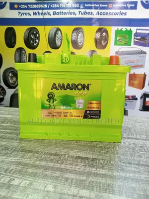 DIN55 Amaron Battery