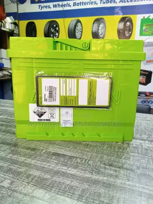 DIN55 Amaron Battery