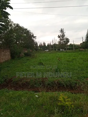 Prime 1/2 Acre Touching Northern Bypass, Thome