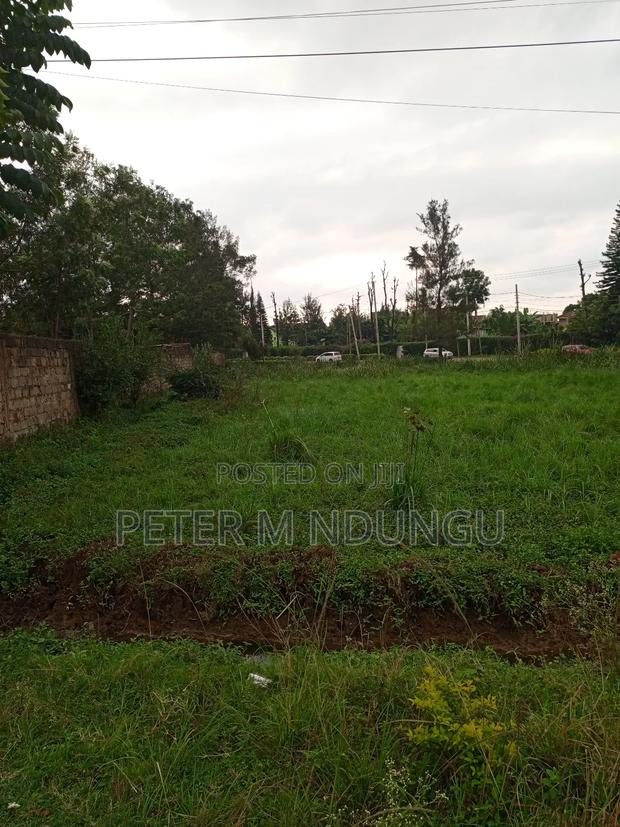 Prime 1/2 Acre Touching Northern Bypass, Thome - thumbnail 4