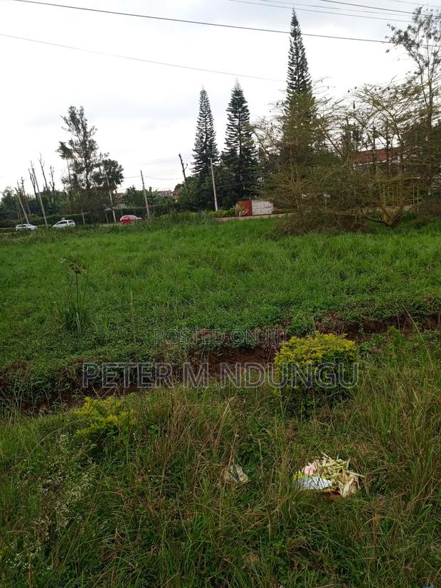 Prime 1/2 Acre Touching Northern Bypass, Thome - thumbnail 5