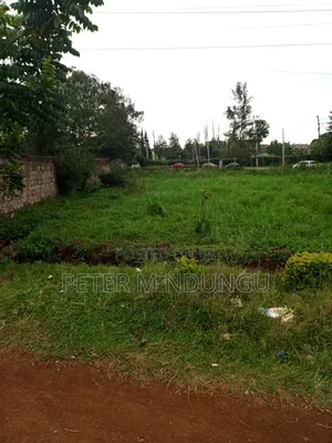Prime 1/2 Acre Touching Northern Bypass, Thome