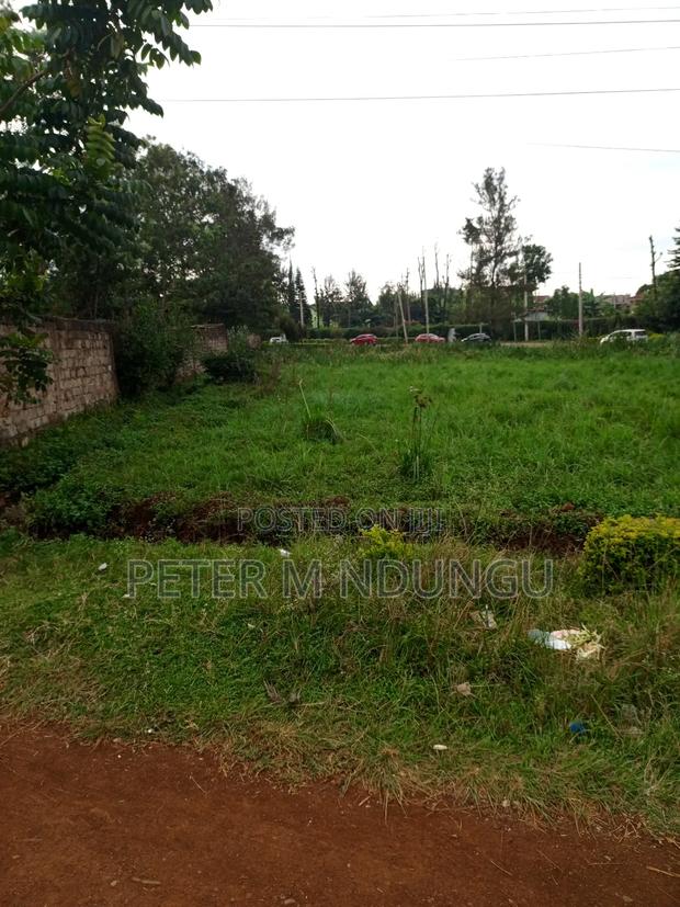 Prime 1/2 Acre Touching Northern Bypass, Thome - thumbnail 6