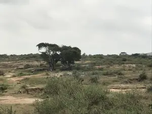 40 Acre Land Kenanie Lukenya