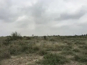 40 Acre Land Kenanie Lukenya