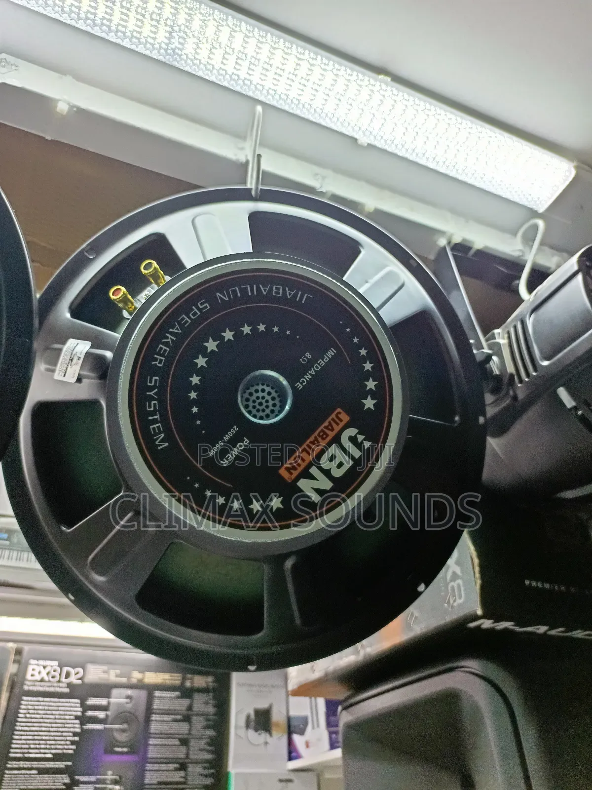 JBN Mid Range Naked Speaker,