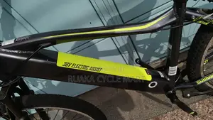 Ex USA Electric Bike