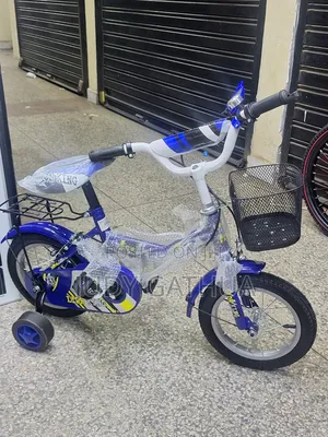 Blue Bike Size 12"
