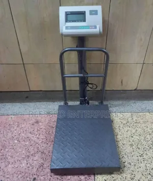 A12 Digital Weighing Scale 300kgs /Weighing Scale 300kgs
