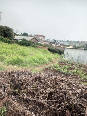 1⁄4(100 by 100) Kamirithu - thumbnail 2