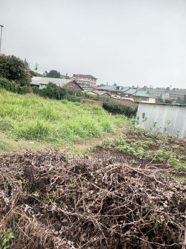 1⁄4(100 by 100) Kamirithu - main view