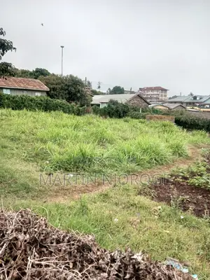 1⁄4(100 by 100) Kamirithu