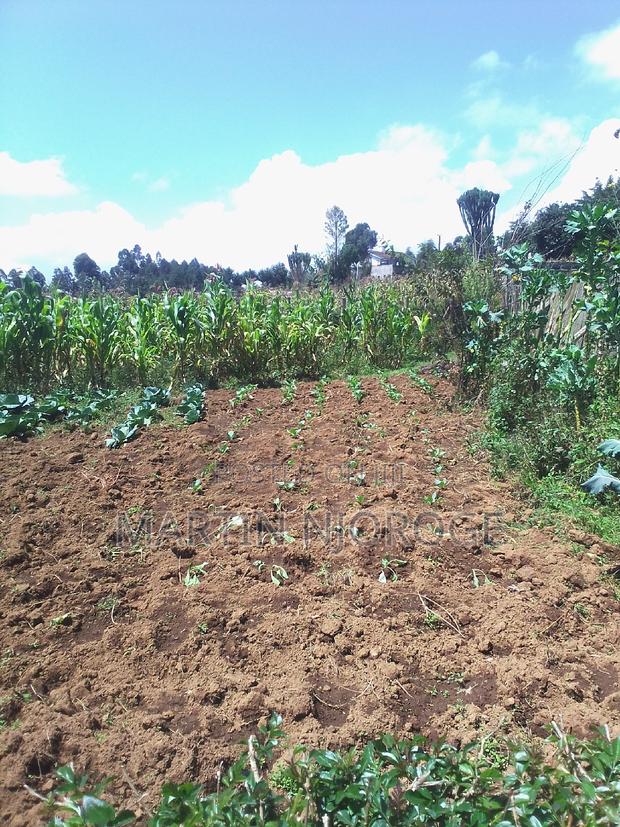 50 by 100 Uplands, Gitithia - thumbnail 2