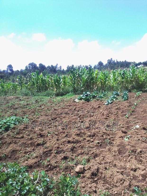 50 by 100 Uplands, Gitithia - main view