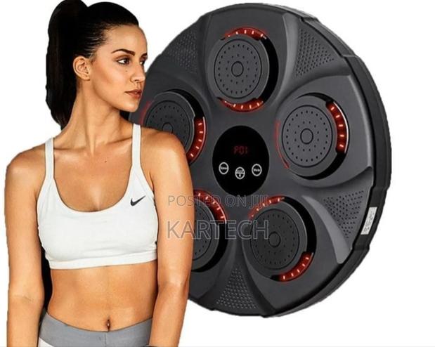 Wall Mounted Punch Boxing Trainer With LED Display - main view