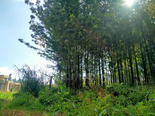 Residential Eighth Acre Plot in Kikuyu, Ondiri Near Tarmac - thumbnail 5