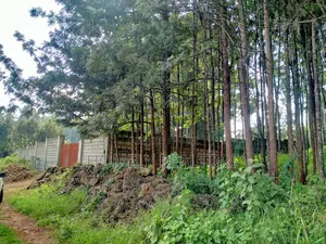 Residential Eighth Acre Plot in Kikuyu, Ondiri Near Tarmac