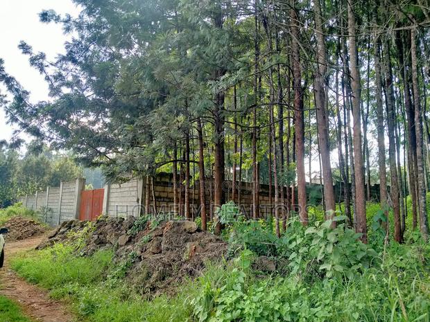 Residential Eighth Acre Plot in Kikuyu, Ondiri Near Tarmac - thumbnail 6