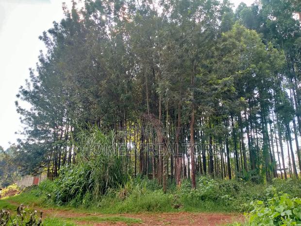 Residential Eighth Acre Plot in Kikuyu, Ondiri Near Tarmac - thumbnail 7