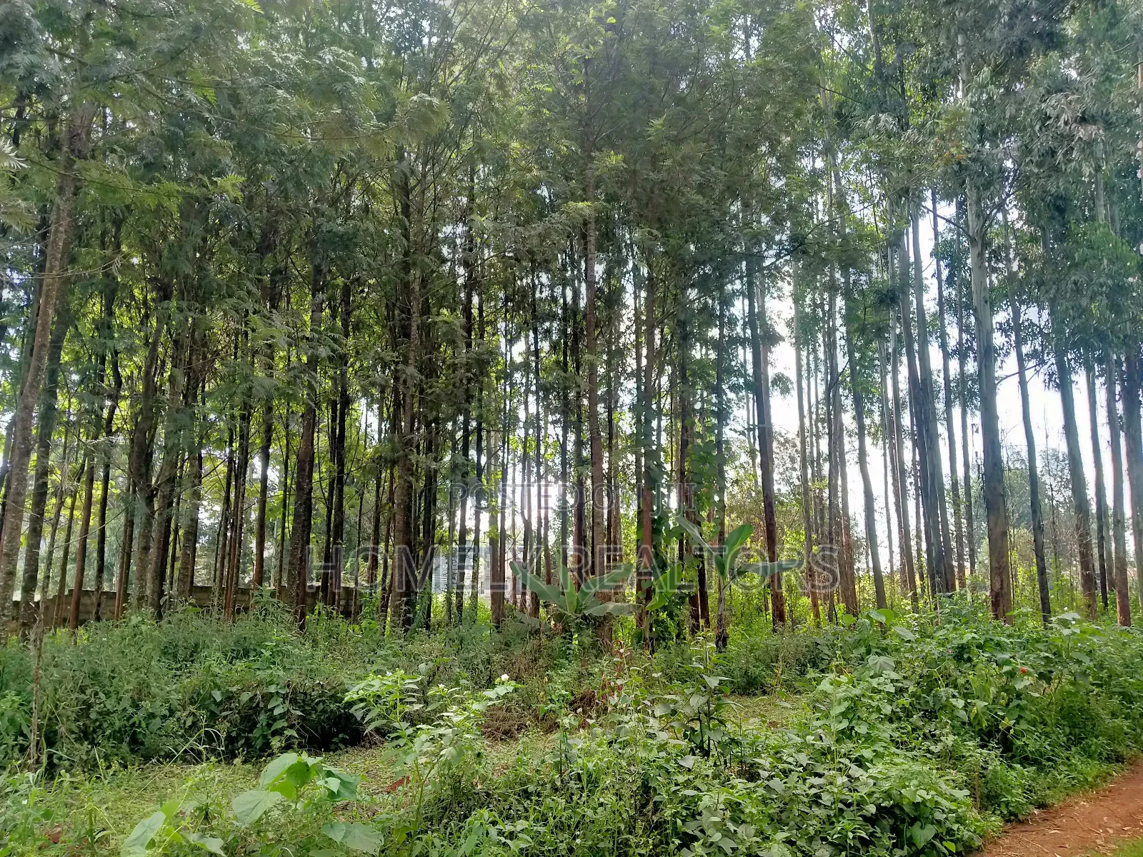 Residential Eighth Acre Plot in Kikuyu, Ondiri Near Tarmac